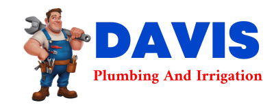 Trusted plumber in CLEVER